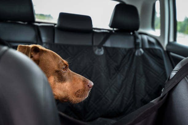 Top 5 Benefits of Using Auto Towel Seat Covers in Your Car